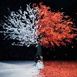 Akane Sasu / Everlasting Snow