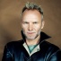 Fields of Gold the Best of Sting 1984-1994 (Songbook)