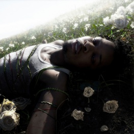 Afterlife