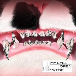 MY EYES OPEN VVIDE